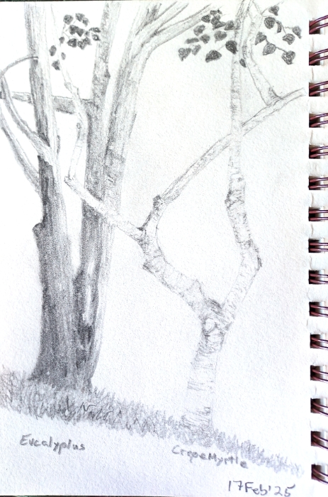 Next Picture